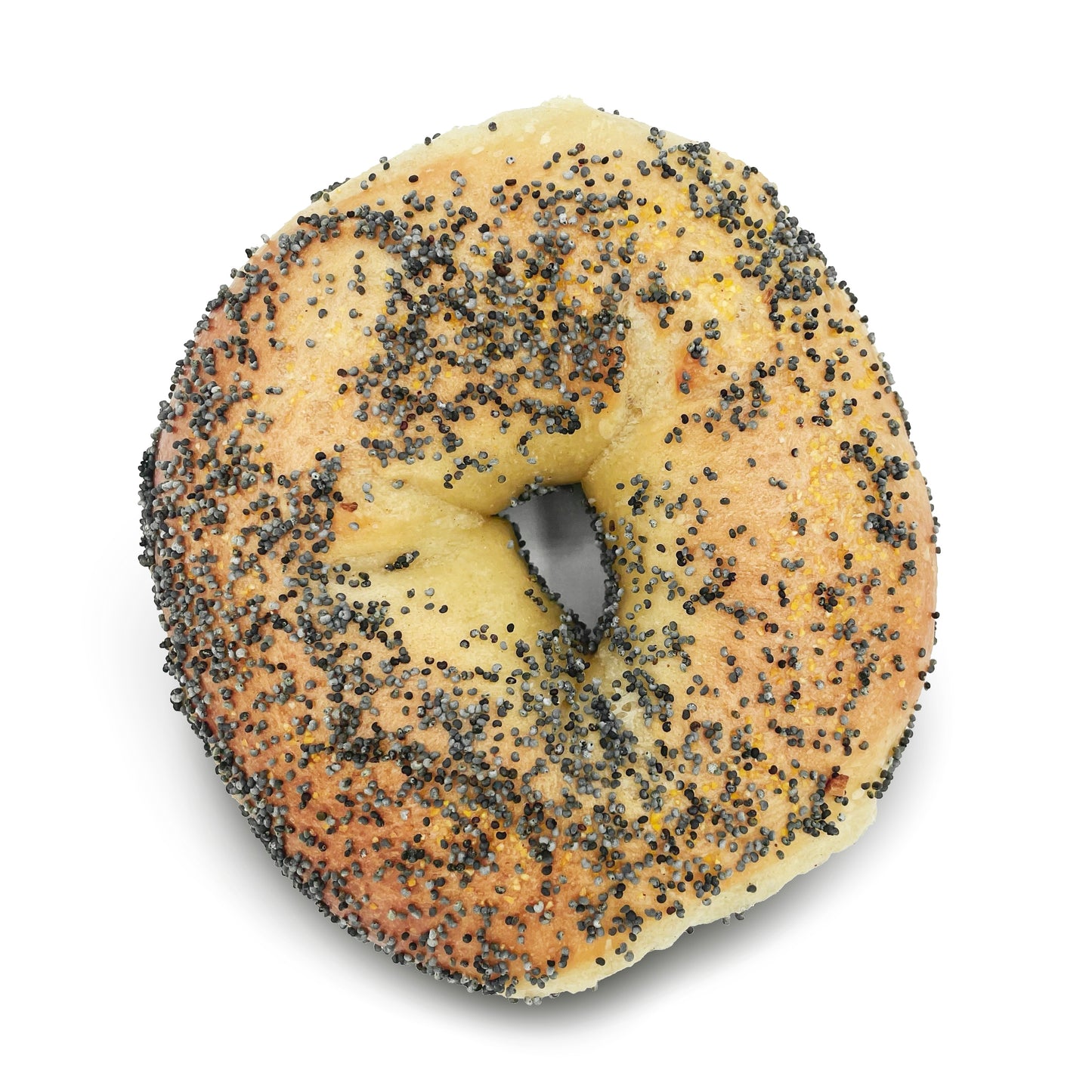 Poppy Bagel