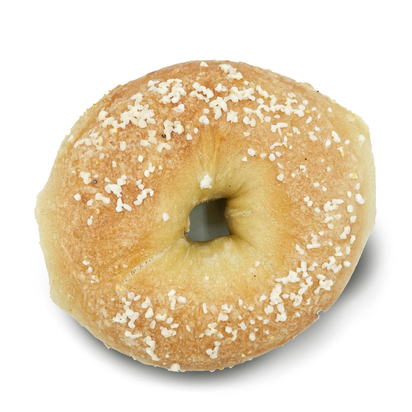Salt Bagel