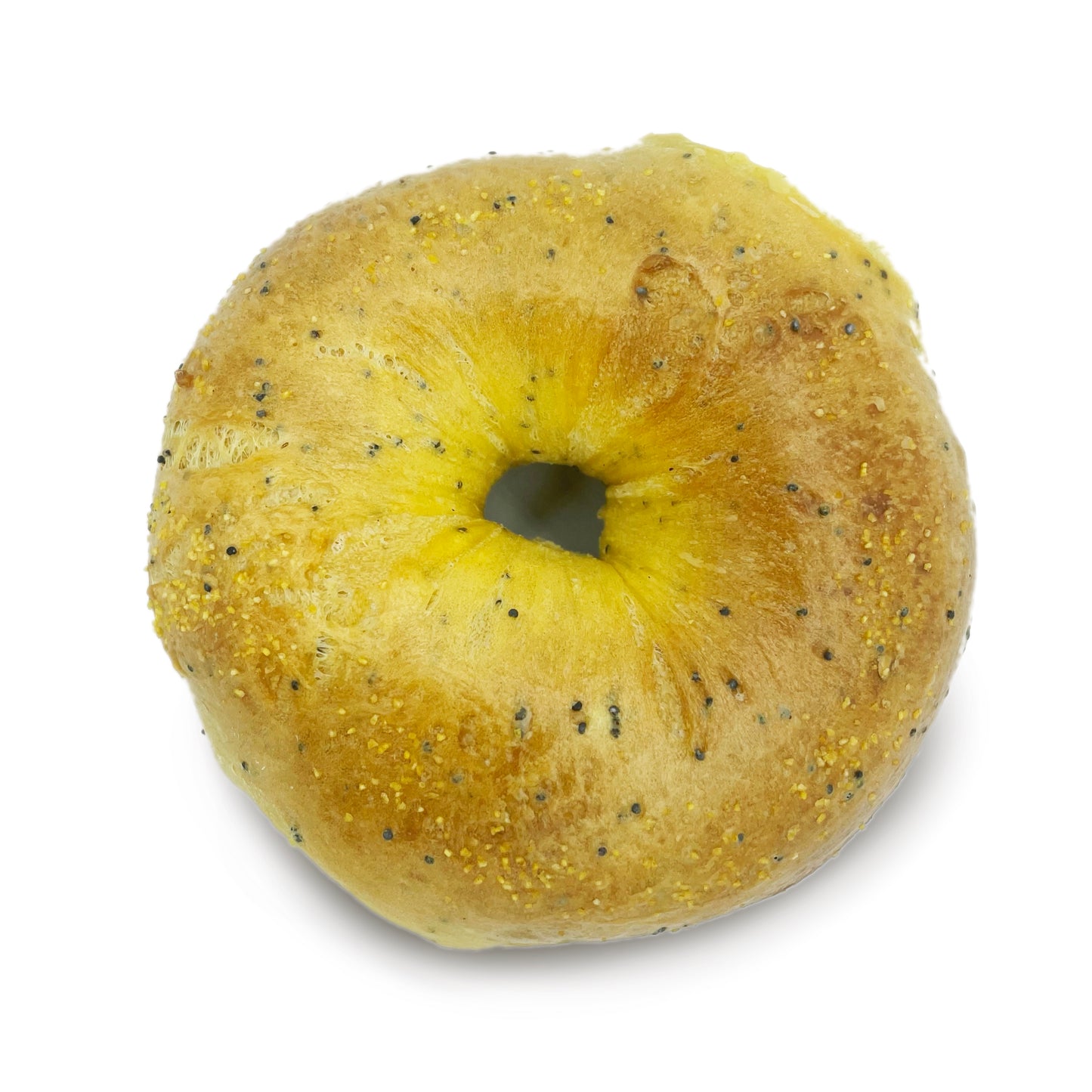 Saratoga Sunshine Bagel