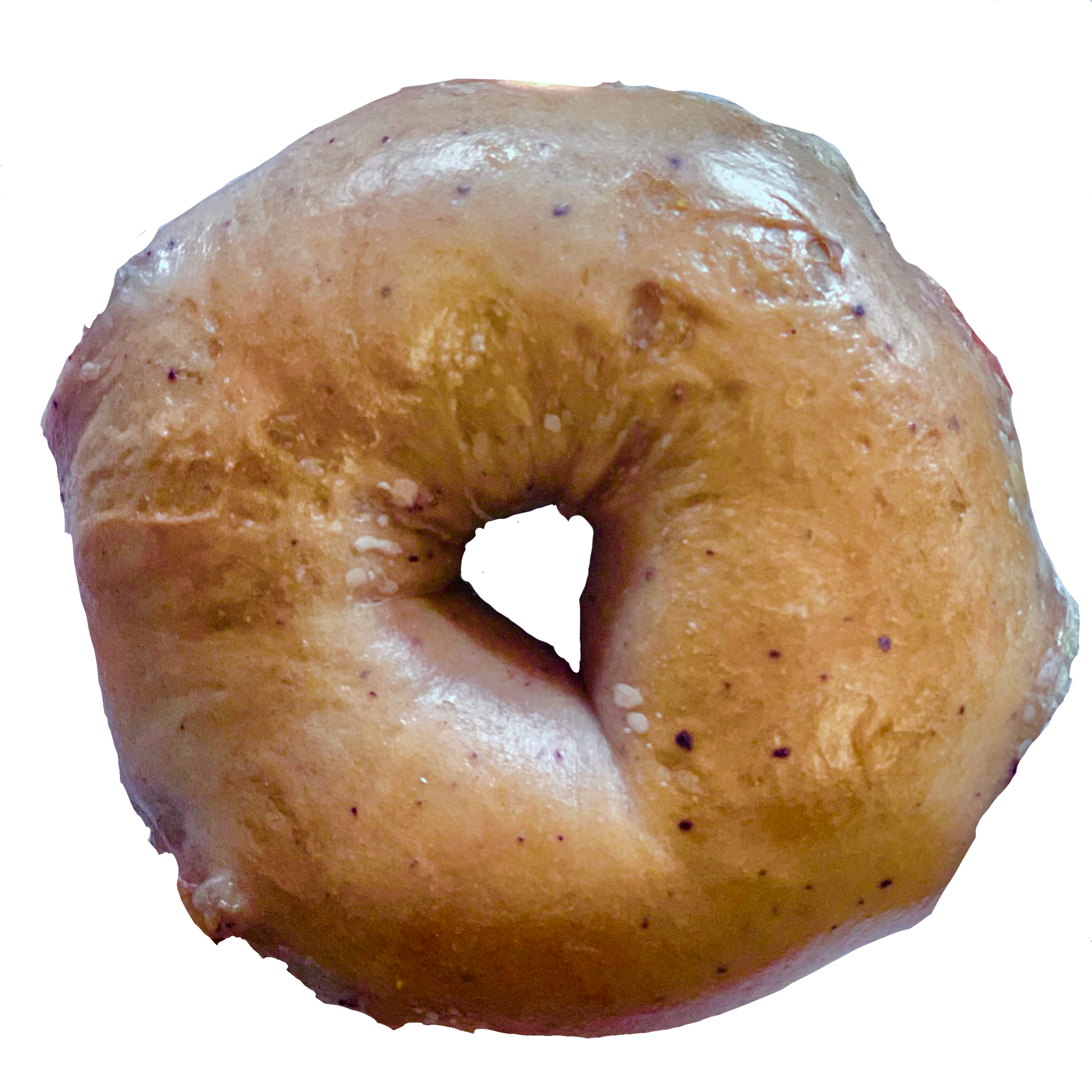 A single blueberry bagel with a golden-brown crust and visible blueberry seeds.