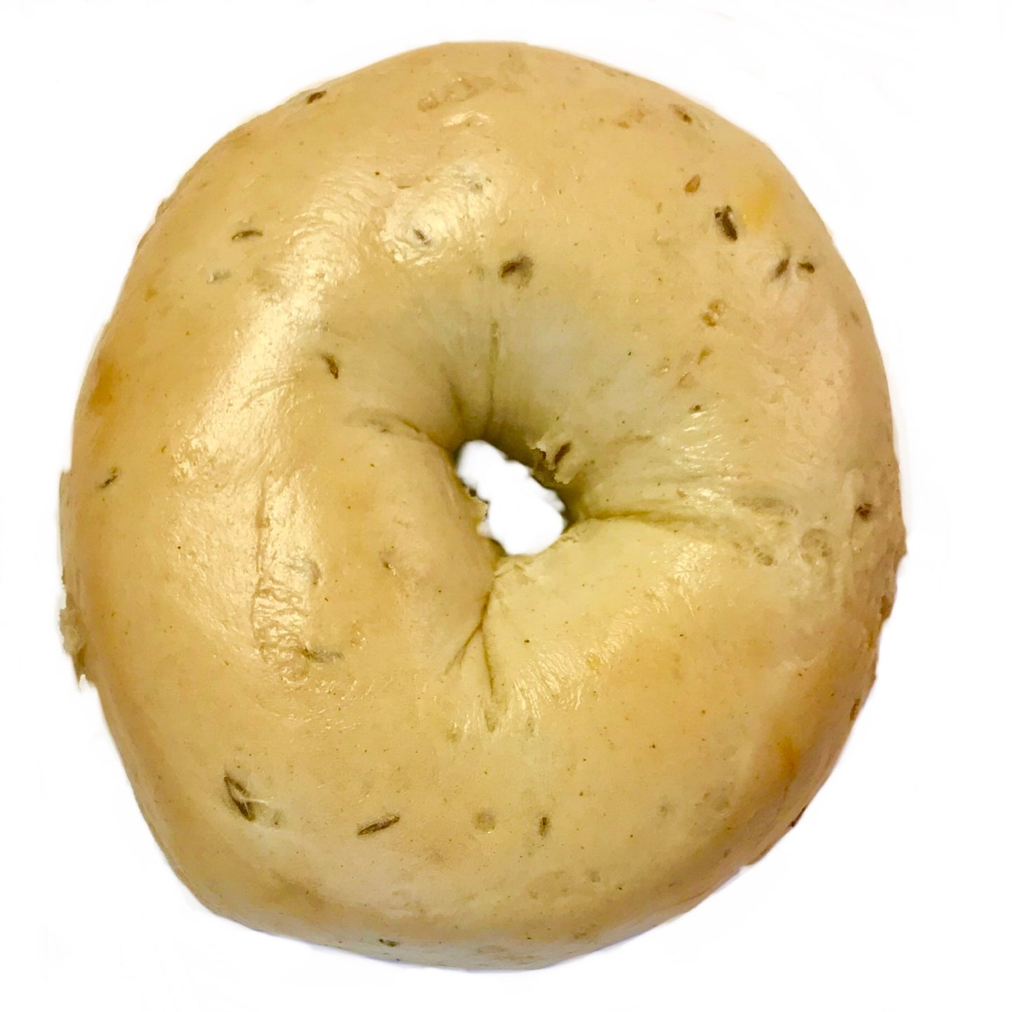 Blueberry Bagel