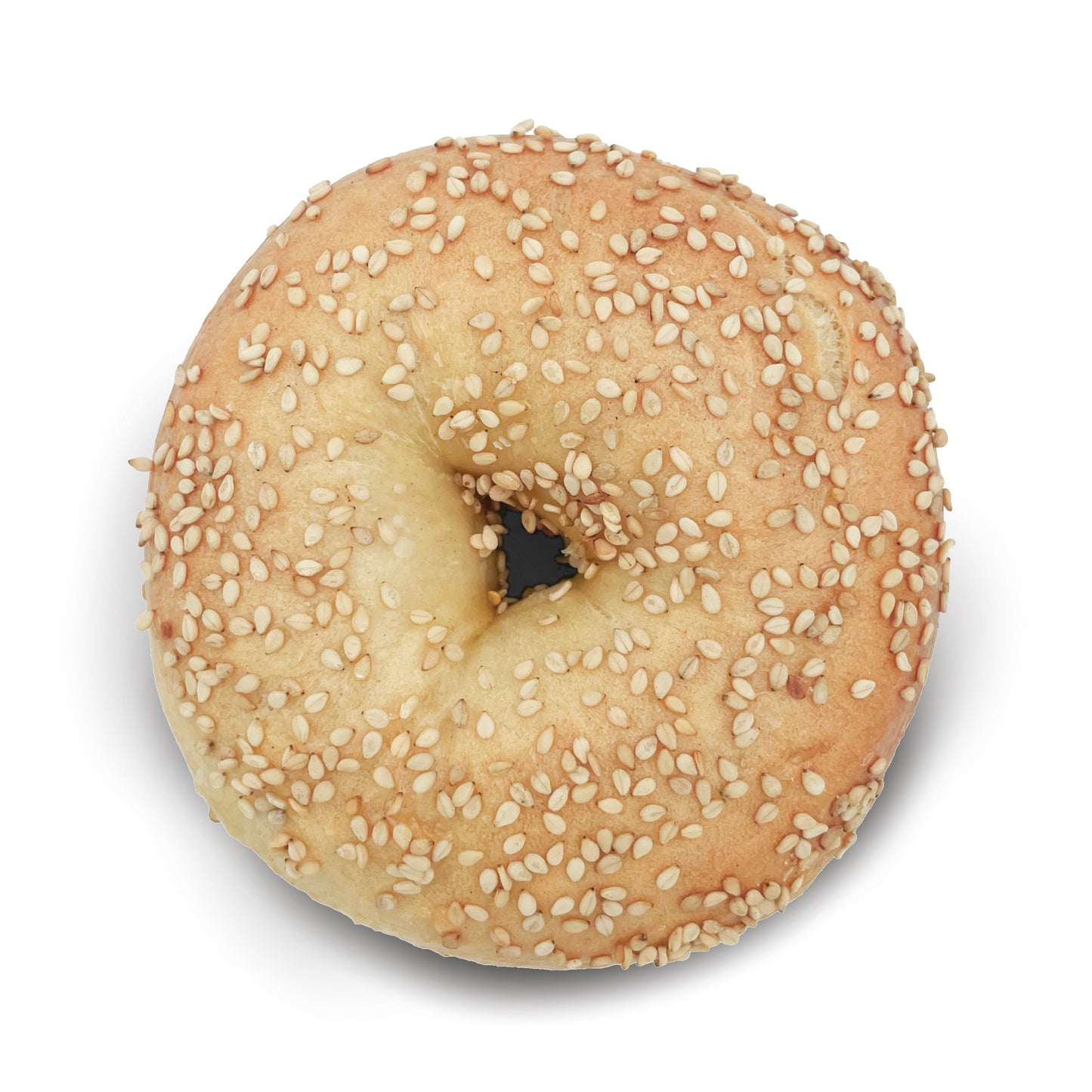 Sesame Bagel